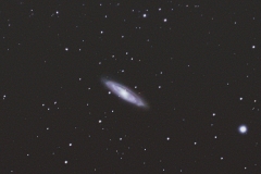 Die Galaxie M65