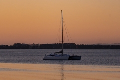 DSC06597