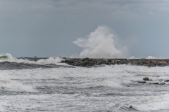 DSC05880